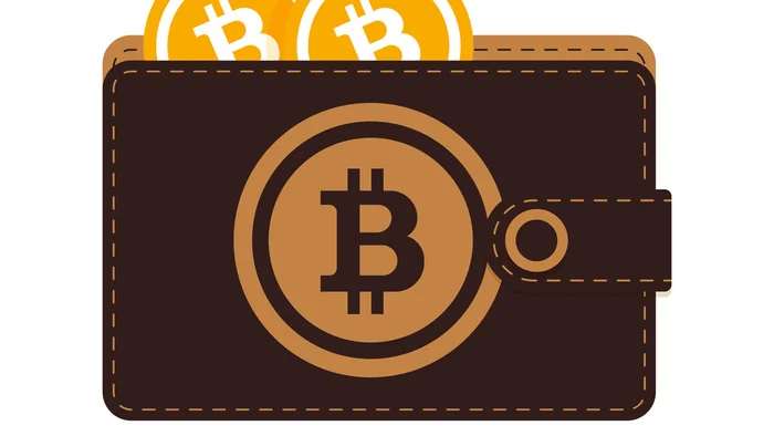 The Ultimate Guide to the Best Bitcoin Wallets