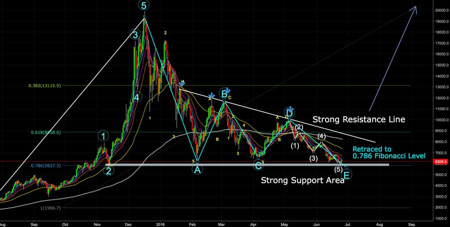 Real-Time Bitcoin Trading Charts